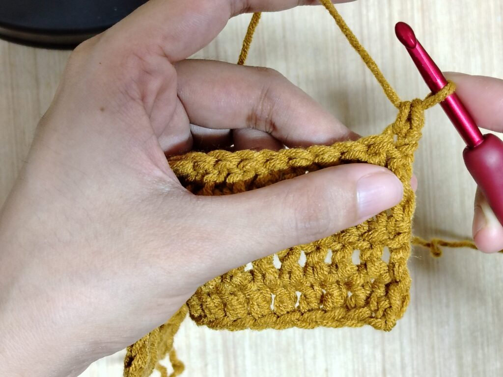 Crochet hook making the first single crochet at the beginning of a double crochet row.