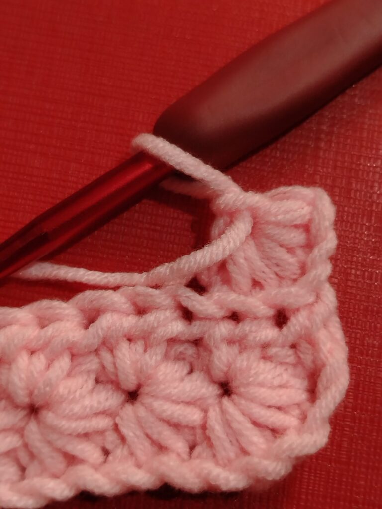 pull of 6 loops in the chain 3 and in the back loop of the next 2 stitches